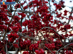 Сильным ветром встретит суббота волжан: прогноз погоды