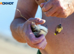 Успеет ли волжская рыба отнереститься?