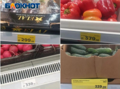ПП стало роскошью? Реальная цена тарелки свежих овощей в Волжском весной