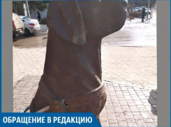 У собаки – поводыря  вандалы украли трость,- волжанка