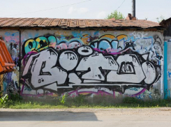 Штрафы за мелкое хулиганство волжан вырастут