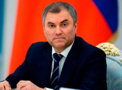 На Мамаевом кургане волжане могут встретить Вячеслава Володина