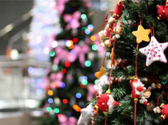 В Волгоградской области на губернаторские елки приглашены две тысячи школьников