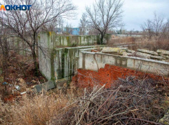 Нападения собак и соль за 460 рублей: ТОП-5 новостей в Волжском