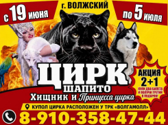 Билеты в цирк по акции 2+1