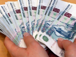 Мэрия Волжского решила закупить папки с гербами за 90 тысяч рублей