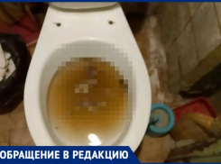 «Живем как в аду»: волжанка пожаловалась на коммунальный кошмар в общежитии на Молодежной, 42