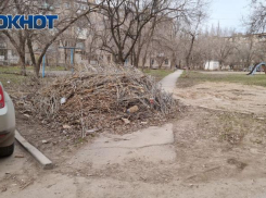 В противопожарный сезон Волжский заполнили свалки сухих веток: фото