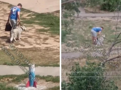 Живодер или воспитатель? Мужчина избил собаку во дворе Волжского на видео