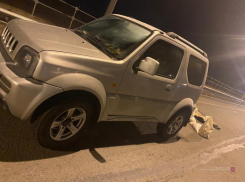 В Волжском поймали браконьера с полной машиной рыбы