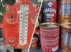 Продукты хранят в +30 градусов в магазине Волжского