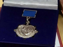 Две волжанки представлены к Почетному знаку губернатора «Материнская слава»