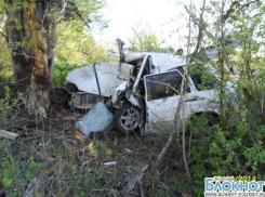 Врезавшись на машине в дерево, волгоградец погиб на месте