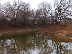 В Волго-Ахтубинской пойме завершены работы по экологической реабилитации ериков 