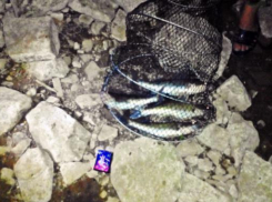 Местные рыбаки раскрывают секреты ночной рыбалки в Волго-Ахтубинской пойме