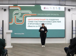 Психологи, педагоги и волонтёры осваивают новые подходы к поддержке семей участников СВО в Волгоградской области
