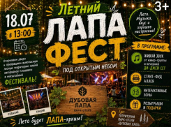 Не пропустите: летний «Лапа Фест» под открытым небом
