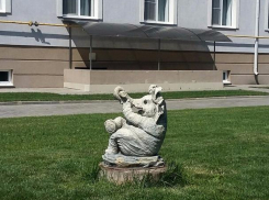 Маленький слоненок стал новым жителем Волжского