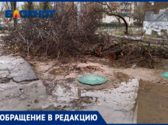 В Волжском полностью затопило двор, поросший сухостоем