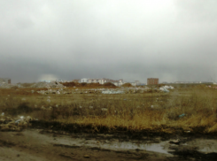 Волжане жалуются на свалку возле дороги