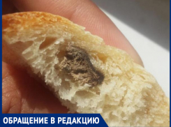 «Это не таракан. Может, половина мышки», - волжанка