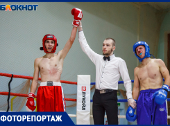 В Волжском прошел региональный турнир по кикбоксингу. Какую роль этот вид спорта играет для города?