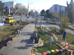 На глазах у отца ребёнок пытался сломать дерево возле детской поликлиники в Волжском