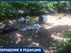 «Въезд в город загажен мусором», - волжанка рассказала о «воротах» города