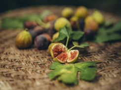 В оранжереи Волжского поспел инжир