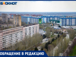 Не убирают подъезды и придомовую территорию: волжане жалуются на УК «Лада Дом»