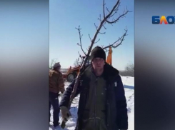 Волжане жалуются на анонимное восстановление земли на месте снесенных домов 