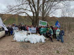 В Волжском очистили берег реки Ахтуба
