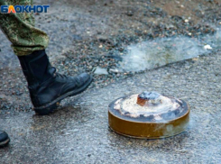 Приостановить деятельность всех поисковых отрядов: губернатор Волгоградской области дал экстренные поручения