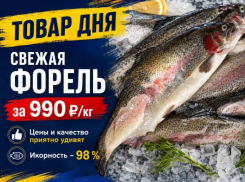 Товар дня. Свежая форель за 990 ₽/кг