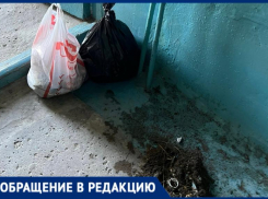 Два года без уборки: жители Волжского вынуждены сами мыть подъезды