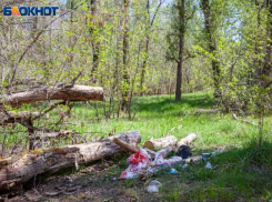 В окрестностях Волжского стартует операция по выявлению несанкционированных свалок