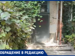 «А где ремонт?» волжанин пожаловался на состояние подъездов дома на Космонавтов