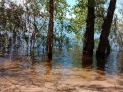 «Волжская ривьера» заняла пятое место в конкурсе проектов