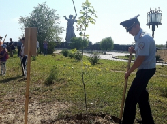 Волгоградские полицейские провели субботник на Мамаевом кургане