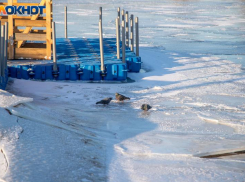Волжан предупреждают о рисках зимних водоемов