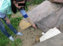 Волжскую молодежь подстерегает опасность в соцсетях