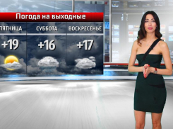 Погода на Первомай позволит волжанам отдохнуть на природе: прогноз на выходные