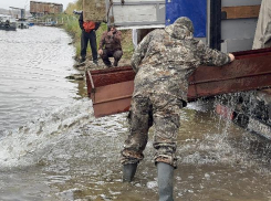 В Волжском в реку выпустили 20 тысяч мальков сазана
