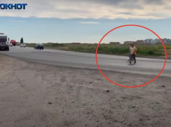 За судьбу пешеходного перехода в СНТ «Тюльпан» будут бороться в Волжском горсуде