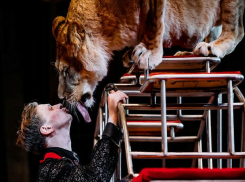 Дети-сироты посмотрят цирк в режиме онлайн