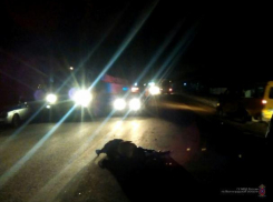 В Волжском объявили в розыск ночного убийцу за рулем 