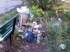 Волгоград завален мусорными свалками 