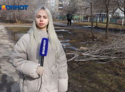 Волжане в 17 микрорайоне раскатали зеленую зону как трассу «Ралли»