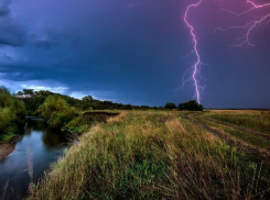 Международный день лесника будет дождливым