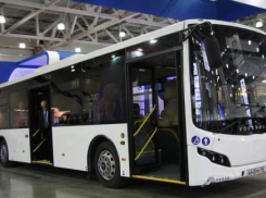 Перевозки в регионе могут стать безубыточными благодаря газомоторному транспорту